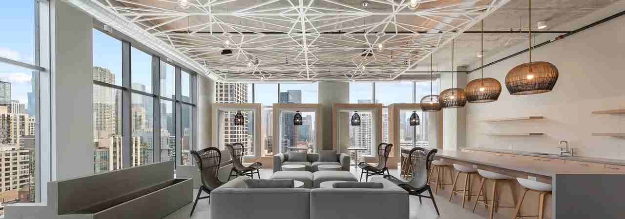 N Wells St #1-826 - Photo 5 of 25