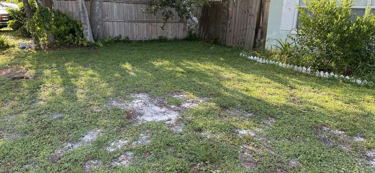 908 W Highland Dr - Photo 2 of 16