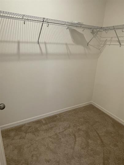 4629 Bernard Blvd - Photo 2 of 26