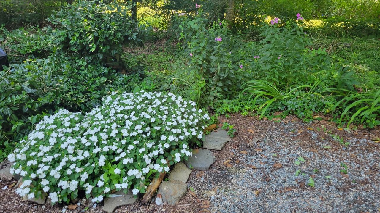 30 Island Beach Rd #NA - Photo 2 of 13