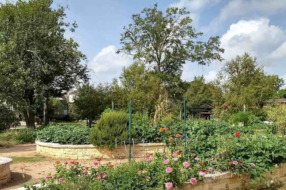 1602 Bonnie Brae St #12 - Photo 3 of 14