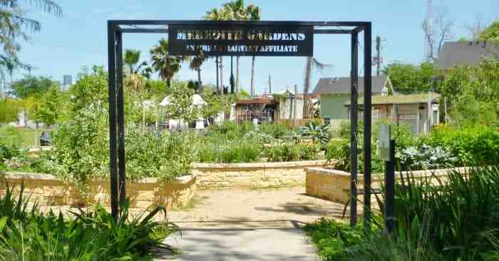 1602 Bonnie Brae St #12 - Photo 4 of 14