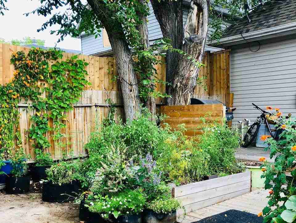 1934 Winnipeg Street - Photo 2 of 11