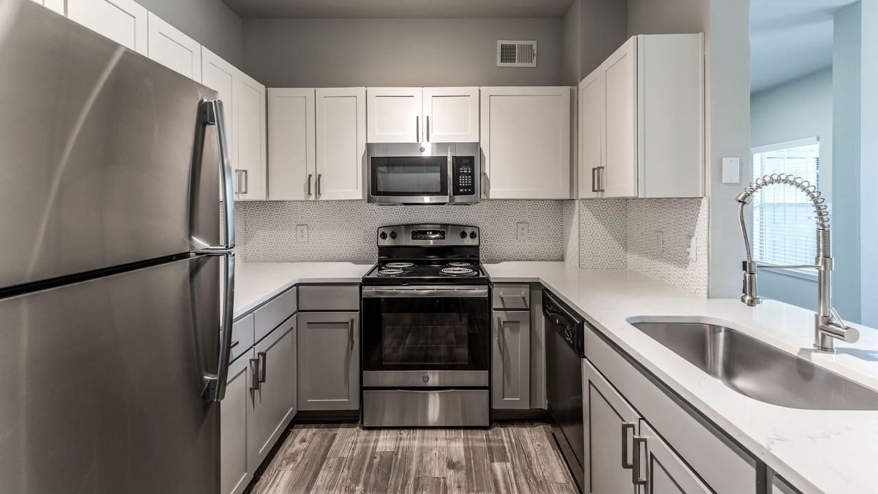 Alexander - Photo 2 of 15