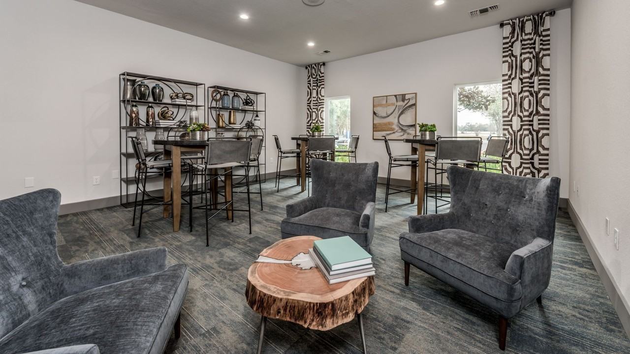 Alexander - Photo 6 of 15