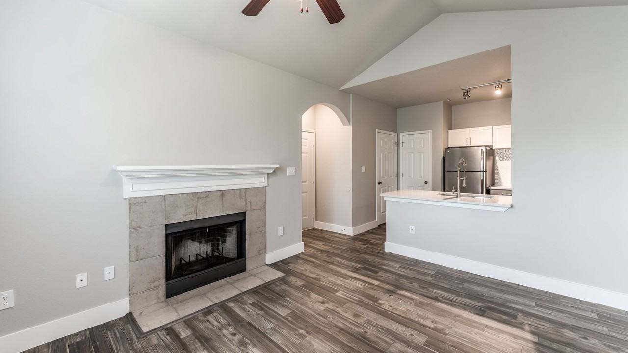 Alexander - Photo 7 of 15