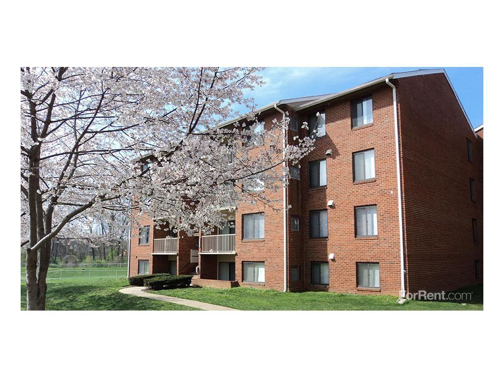 Willowdale Crossing - Photo 3 of 17