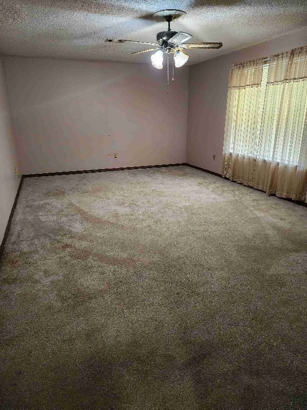 1440 Brenda St - Photo 2 of 11