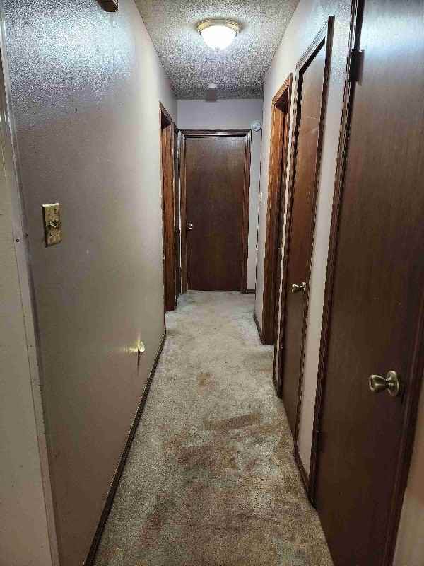 1440 Brenda St - Photo 3 of 11