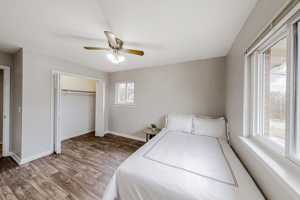 featured image of Lisa Dr