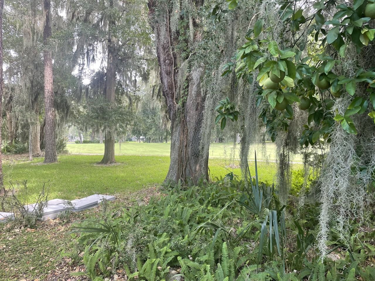 814 Kings Grant #NA - Photo 3 of 4