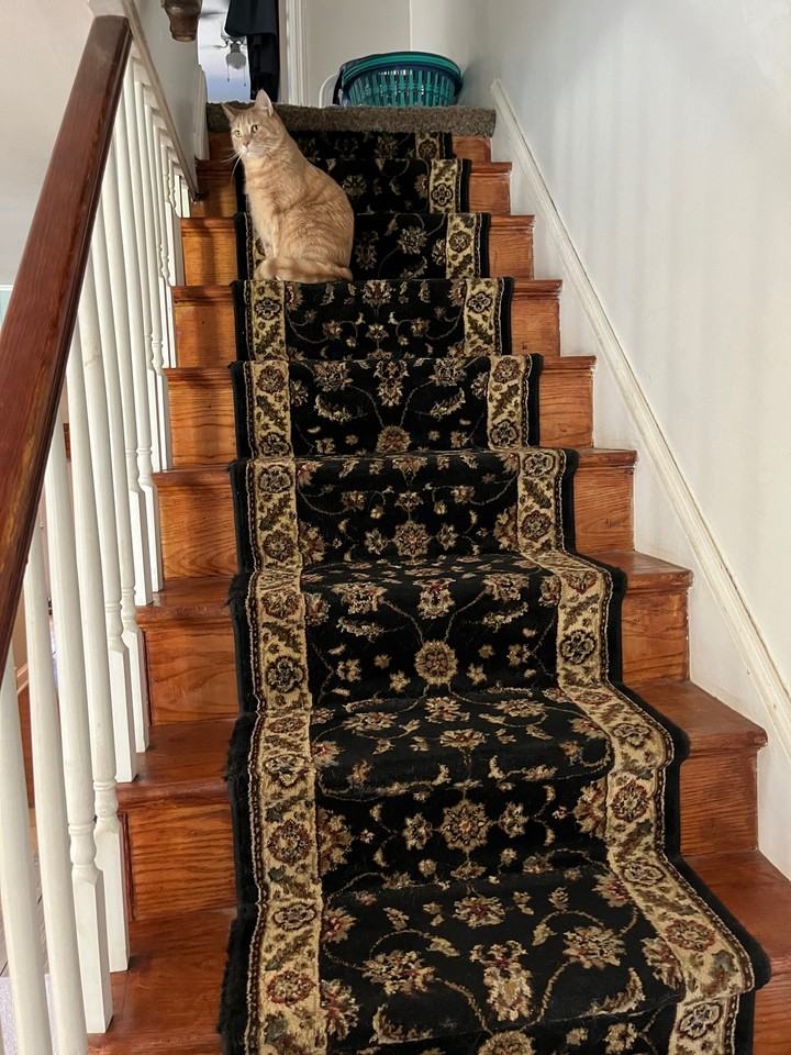 679 Rively Ave #NA - Photo 3 of 9