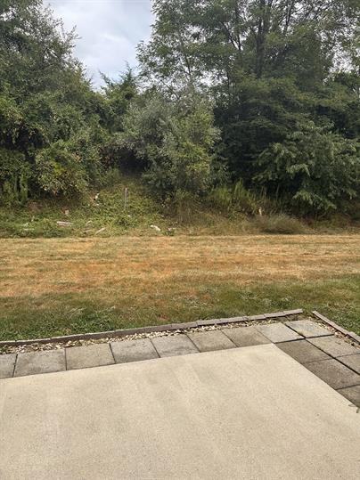 39 Abbey Ct - Photo 2 of 37