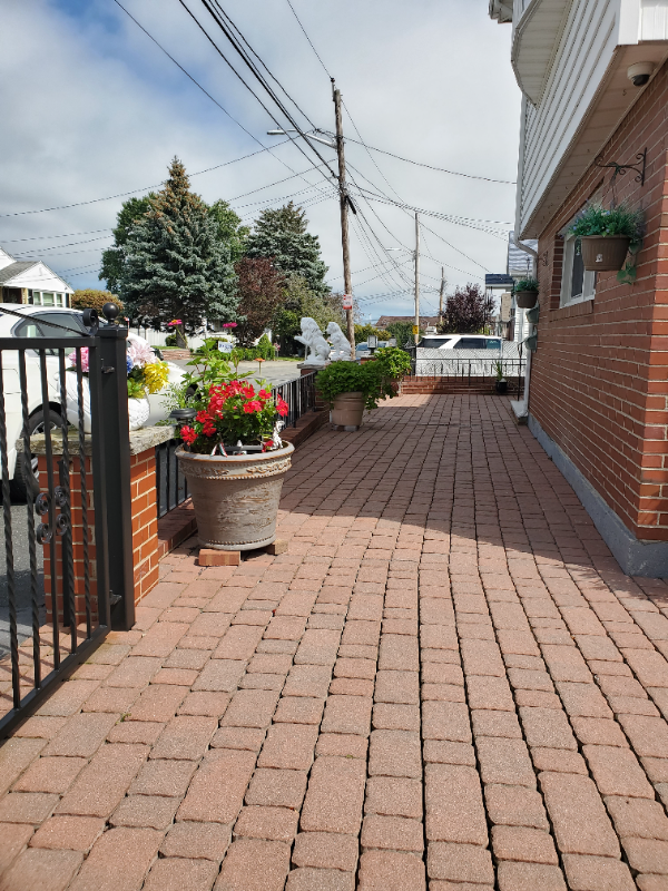 121 Newman St #1 - Photo 2 of 12