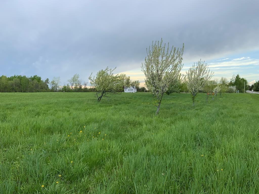 Apartments for Rent in Champlain, NY Condos & Other Rentals Zumper