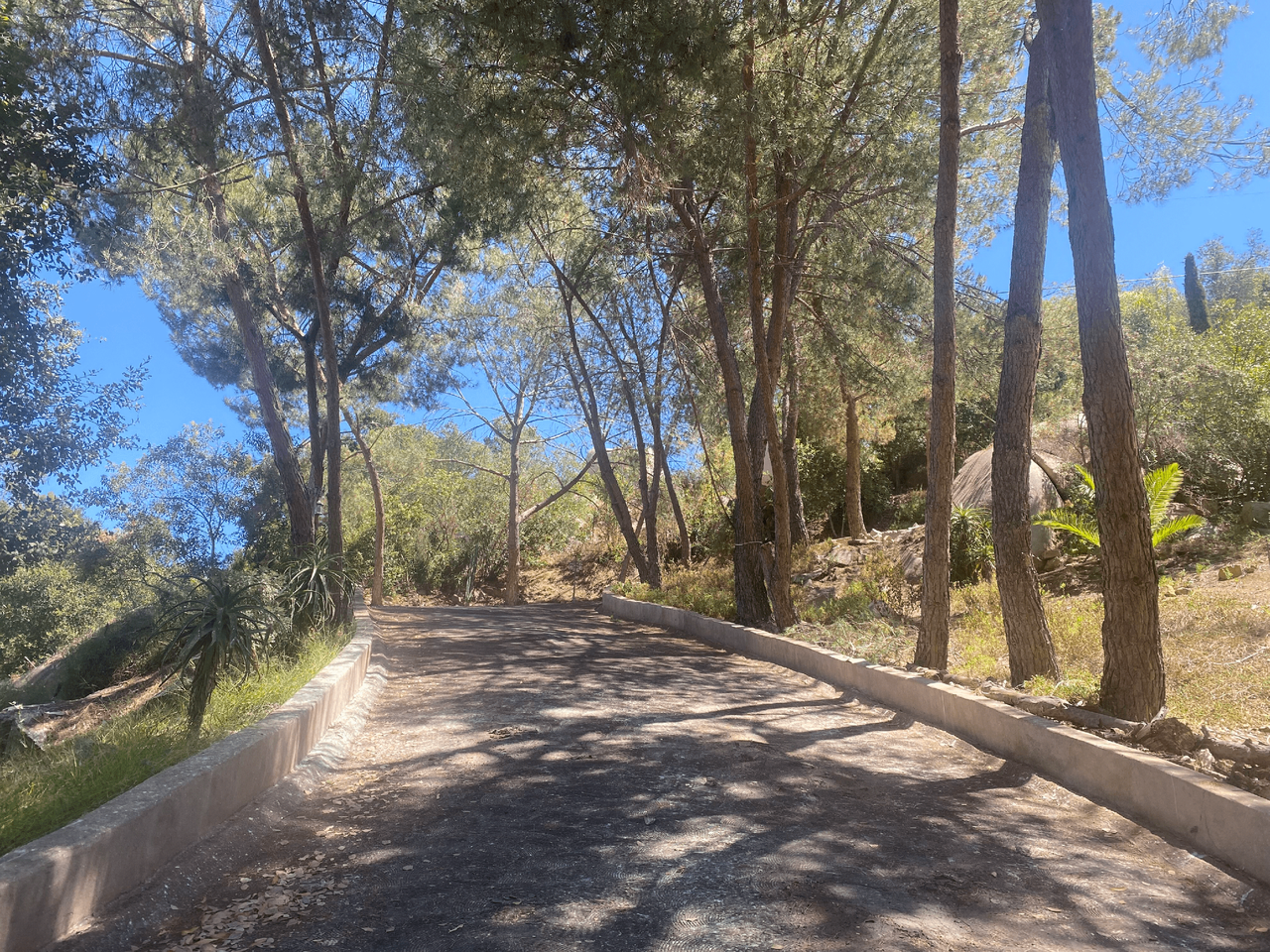 18025 Hidden Meadows Private Casita On Estate Property - Undisclosed Address #NA - Photo 3 of 27