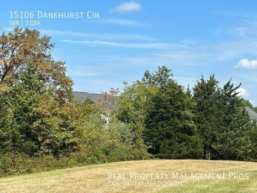 15106 Danehurst Cir - Photo 3 of 32