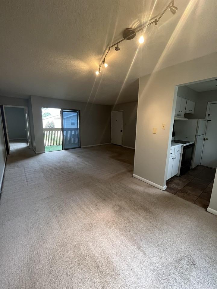 6774 Enchanted Oak Place - 1Unit 4 #1 - Photo 3 of 11