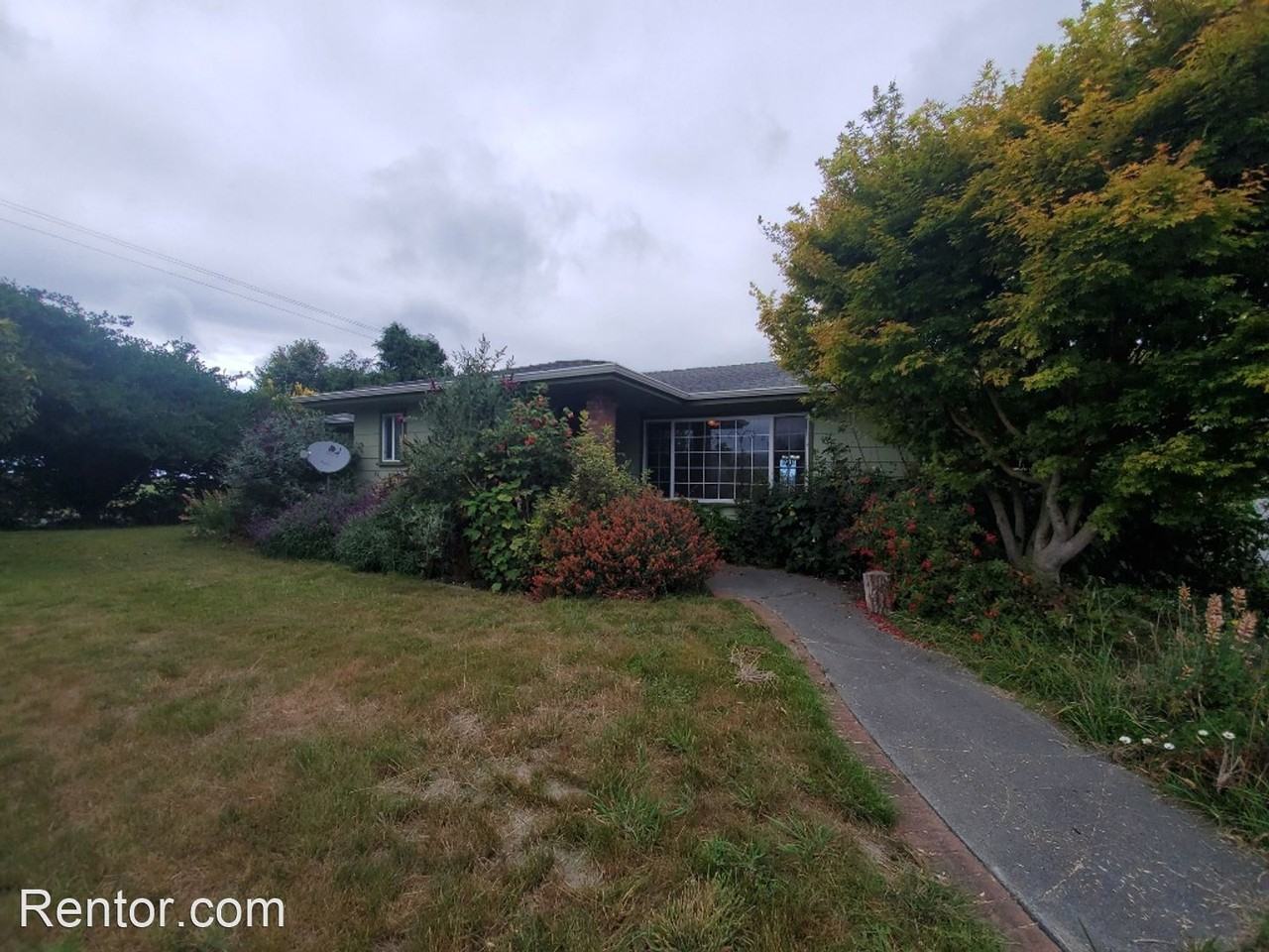 773 Fulmor Rd - Photo 3 of 50