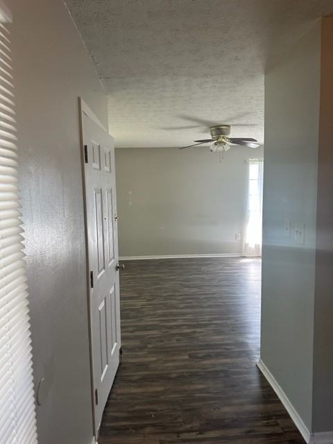 3953 Deer Lake Way #1 - Photo 4 of 35