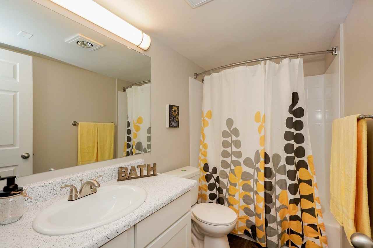 Novela - Photo 6 of 39