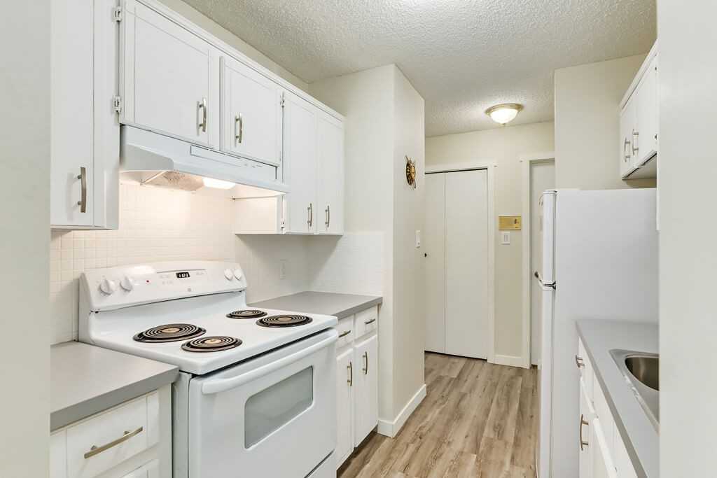 Wildrose - Photo 5 of 13