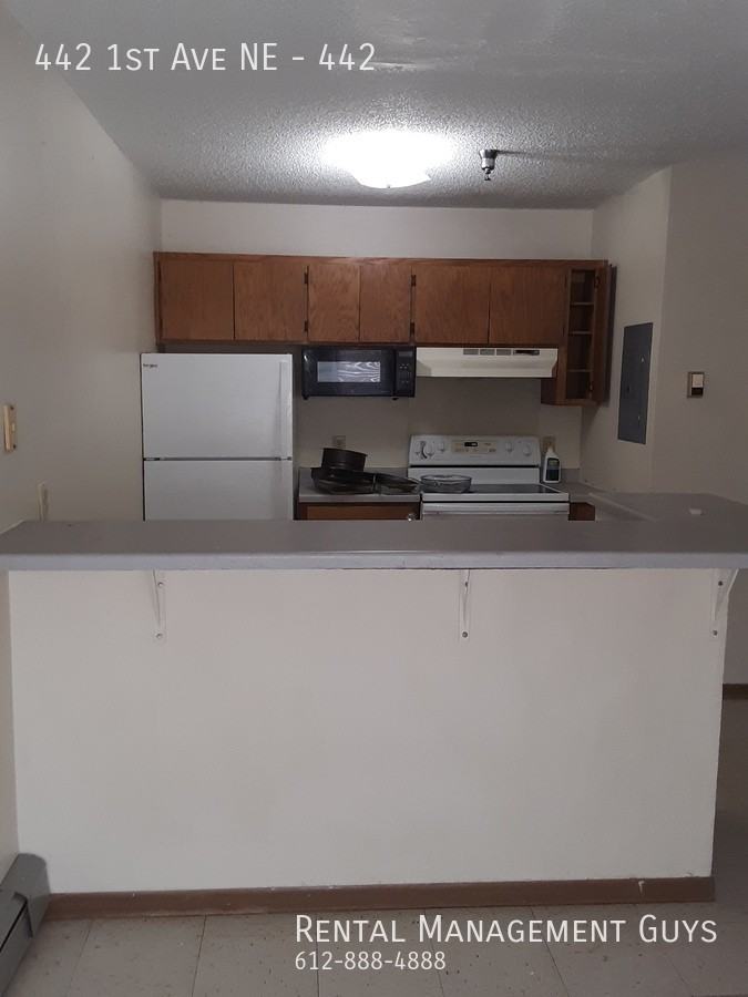 442 1st Ave Ne #442 - Photo 3 of 22