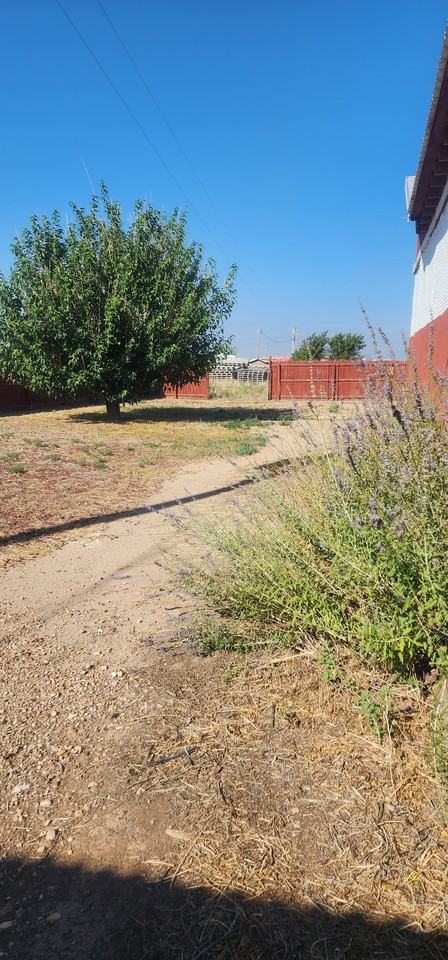 3814 E Pine Lodge Rd - Photo 2 of 31