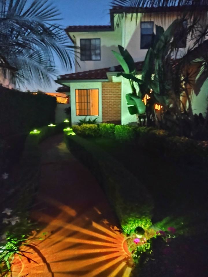 Alder Drive - Photo 2 of 19