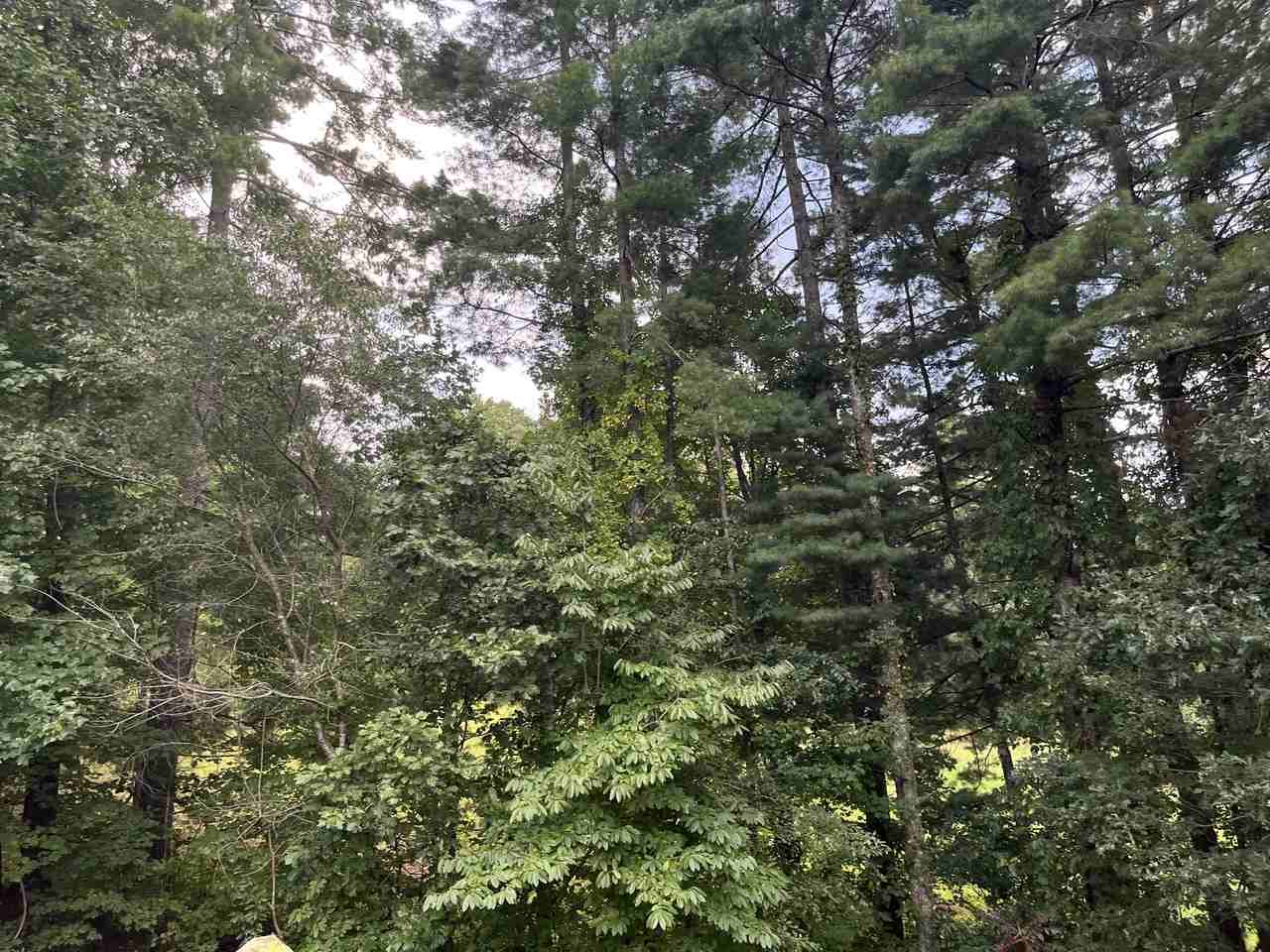 44 Beech Crest Rise #1 - Photo 5 of 19