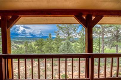 1690 Sunrise Ridgeshenandoah Drive - Photo 4 of 50