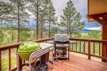 1690 Sunrise Ridgeshenandoah Drive - Photo 6 of 50