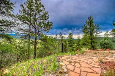 1690 Sunrise Ridgeshenandoah Drive - Photo 6 of 50