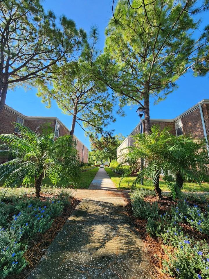 Timberfalls Apartment Homes Apartments 2600 E 113th Ave, Tampa, FL 33612 Zumper