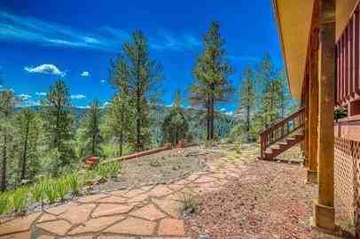 1690 Sunrise Ridgeshenandoah Drive - Photo 3 of 50