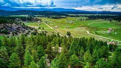 1690 Sunrise Ridgeshenandoah Drive - Photo 3 of 50