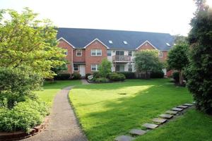 featured image of 401 Bibby St Apt H