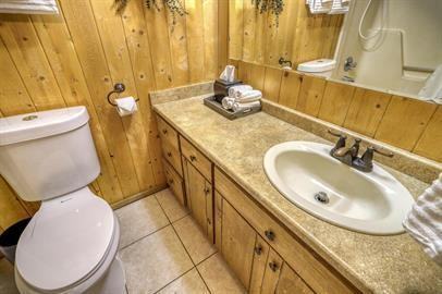 1690 Sunrise Ridgeshenandoah Drive - Photo 3 of 50