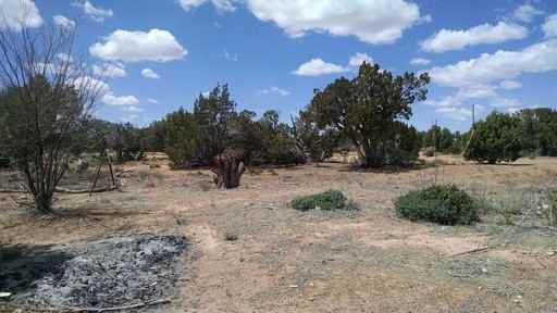 9092 Juniper Berry Trail - Photo 3 of 6