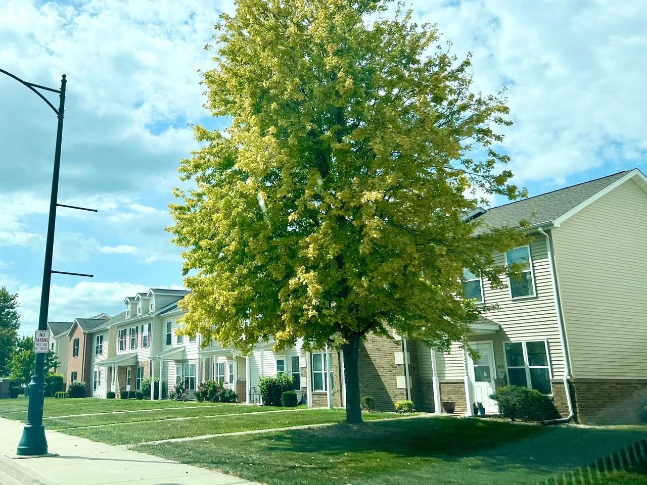 Downtown Commons - Photo 2 of 2