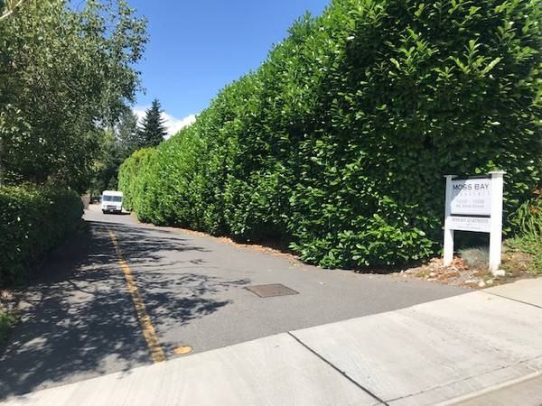 10224 Ne 62nd St - Photo 2 of 22