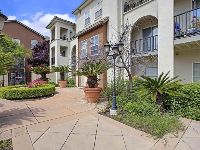 2600 Nuestra Castillo Ct - Photo 4 of 23