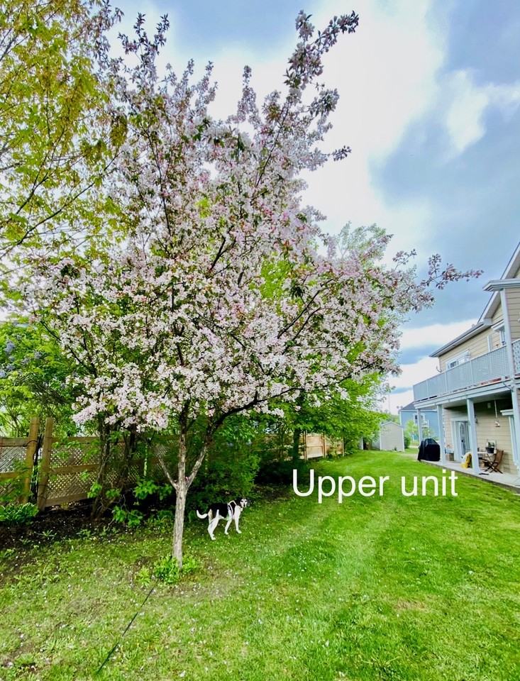 115 Chemin du Havre #4 - Photo 2 of 16