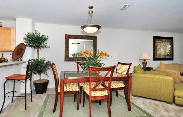 5848 Lake Pointe Village Cir #402 - Photo 5 of 6