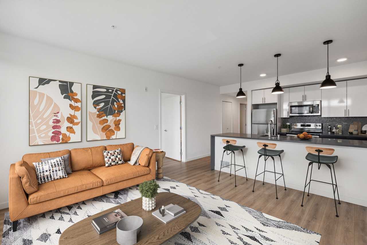 Sundodger - Photo 3 of 42