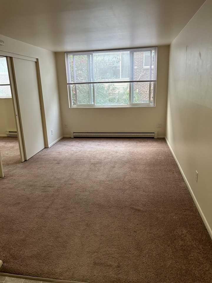 5035 15th Ave. N.E. - 206 #206 - Photo 3 of 16