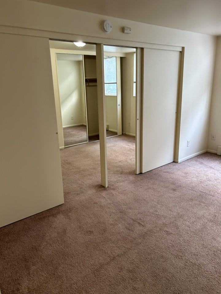 5035 15th Ave. N.E. - 206 #206 - Photo 4 of 16