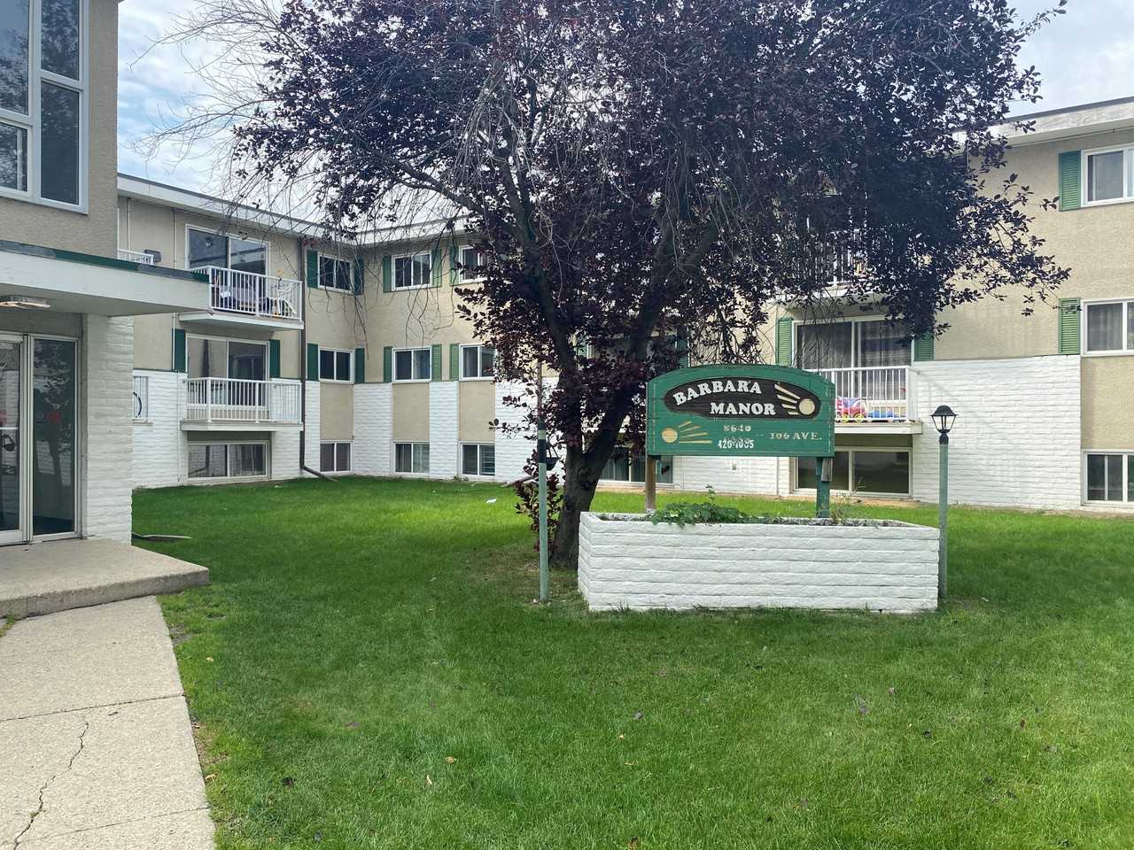 2 Bedroom 1 Bathroom Condo in McCauley Apartments 8640 106 Ave Nw