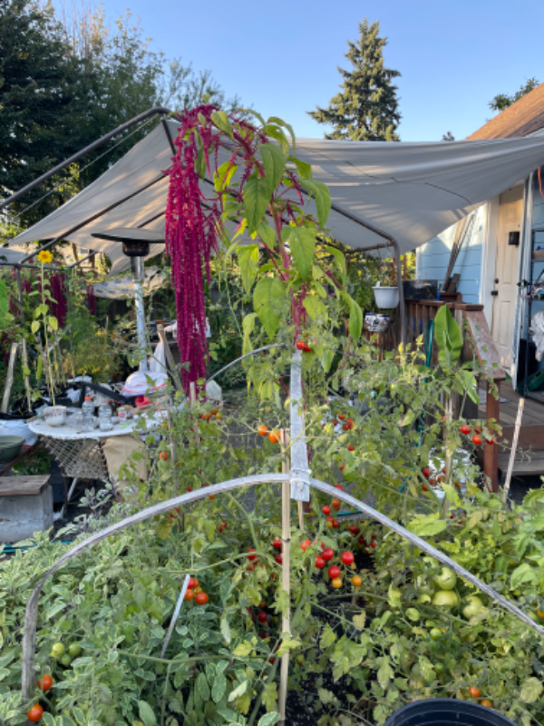 2679 Edison St - Photo 2 of 6