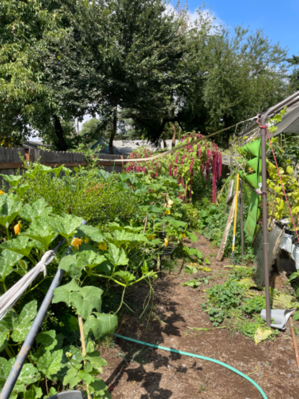 2679 Edison St - Photo 3 of 6